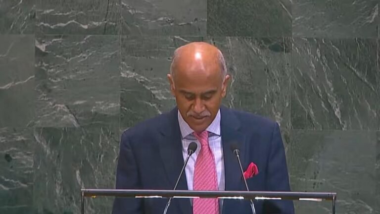 UNSC membership a huge responsibility, not a forum for pedantic, biased, fake stories: India slams Pakistan
