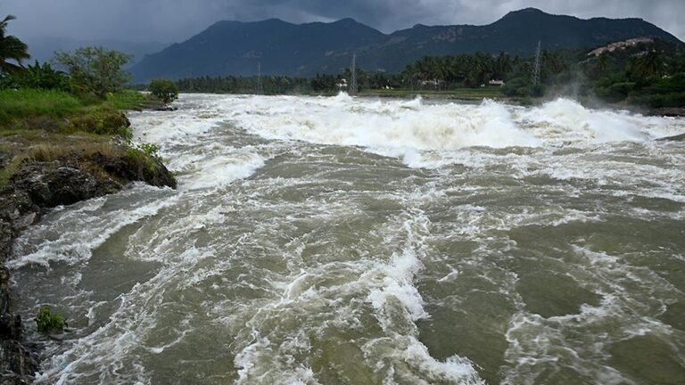 Tamil Nadu has implemented the Centre’s guidelines for projects in the Cauvery basin