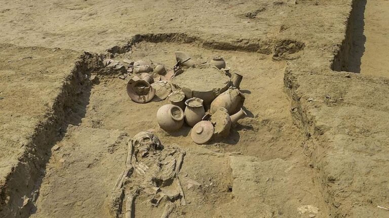 ASI is transferring the ‘Rakhigarhi’ skeletons to the Anthropological Survey of India for further research