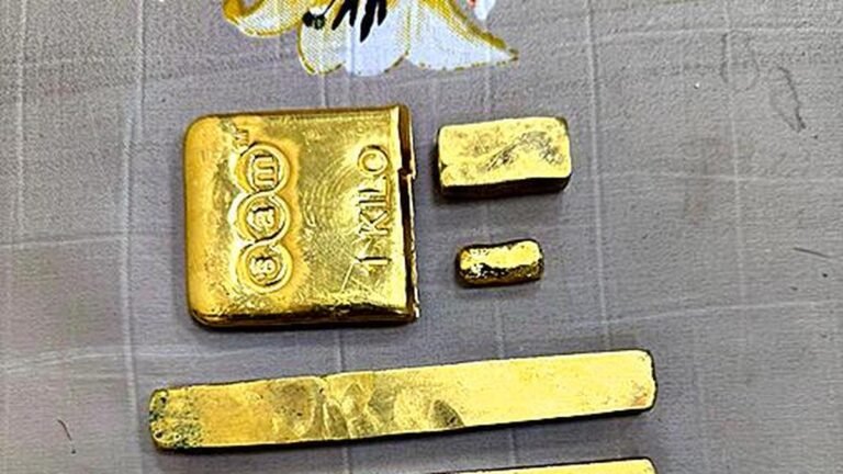 Agencies find rise in gold smuggling after import duty hike