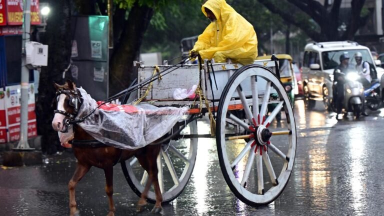 Monsoon tracker LIVE: Cyclone system bringing rains to North Tamil Nadu