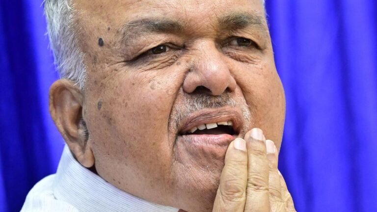 I do not expect any more portfolios: Ramalinga Reddy