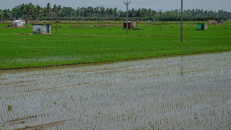 Tamil Nadu gets surplus water from Cauvery for another year