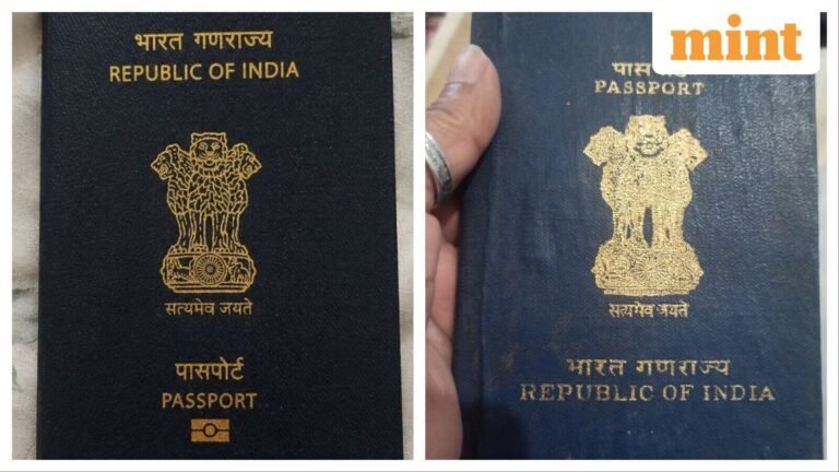 Woman notices strange gold symbol on new Indian passport, internet rushes to explain: ‘My old passport never had this’ | Today’s news