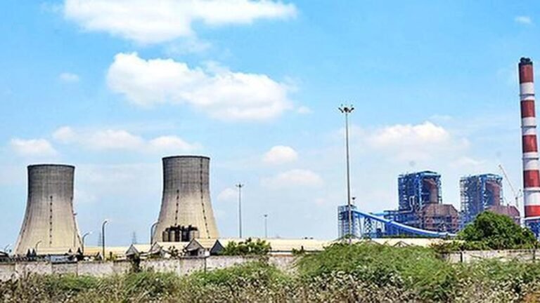 NLCIL celebrates World Environment Day
