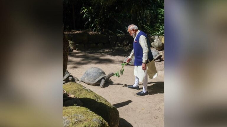PM Modi visits turtle enclosure, joins Seychelles president for tree planting ceremony