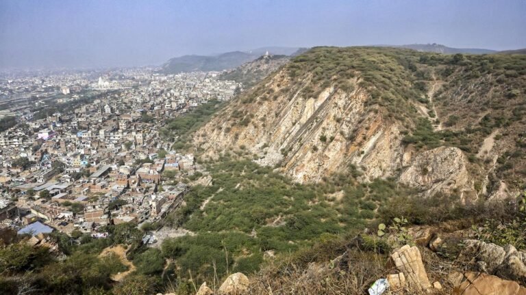 Scientists, environmentalists, policy experts express concern over panel on Aravallis appointed by SC
