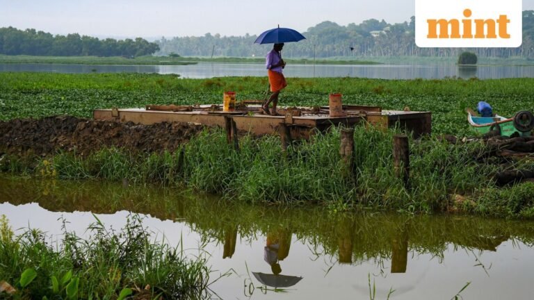 New Western Disturbance from June 18, says IMD as 60% districts rain deficit | Today’s news