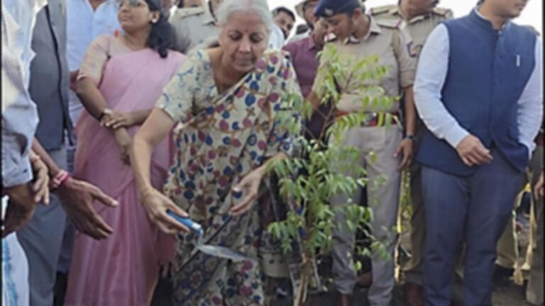 Nirmala Sitharaman planted a sapling on the occasion of World Environment Day in Raichur