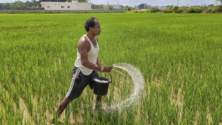 The digital fertilizer reform faces its first test in the Kharif season