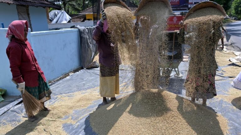 the UDF government. proposal to procure rice through cooperatives scrapped in Kerala
