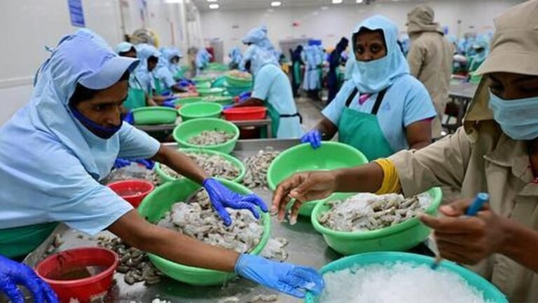Rising shrimp feed prices leave deepwater aquaculture in Andhra Pradesh