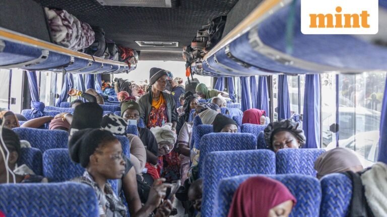 South Africa says 2,745 illegal immigrants sent home in week | Today’s news
