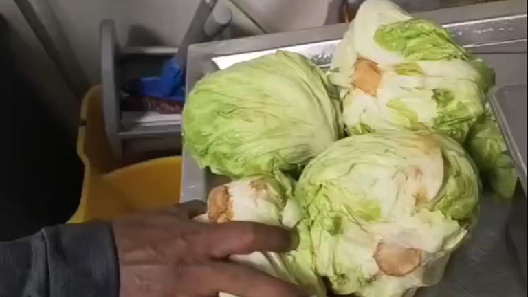 Rotten lettuce, unmarked expired vegetables among violations found at a metro outlet in Hyderabad’s Kondapur area