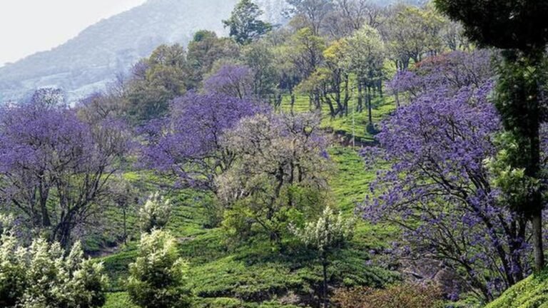 The state has called for an end to decades of neglect of Kerala’s tourism sector
