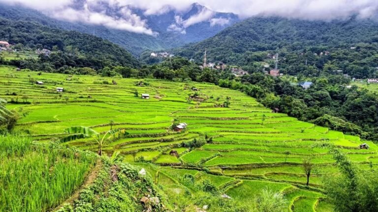 Native land, water management sustaining Nagaland’s terrace agriculture, study says