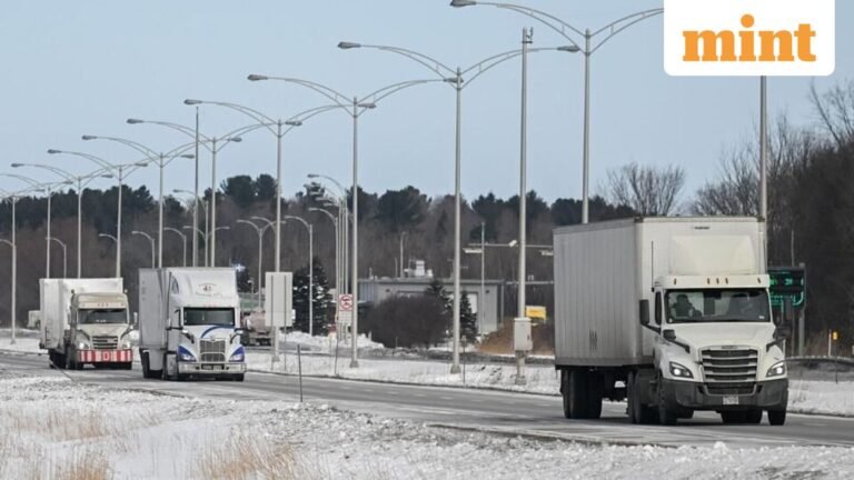 30 Indians Arrested For Living Illegally Working Truck Drivers In US To Be Deported | Today’s news