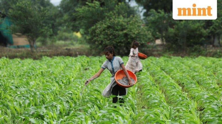 India asks urea suppliers to match lowest rates in NFL tender to reduce subsidy costs | Today’s news