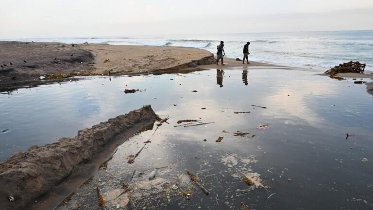 Visakhapatnam’s toxic stormwater drains threaten ecosystem