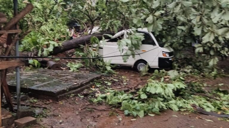 Whirlwinds lash Kerala’s Thrissur, causing widespread damage and disrupting traffic