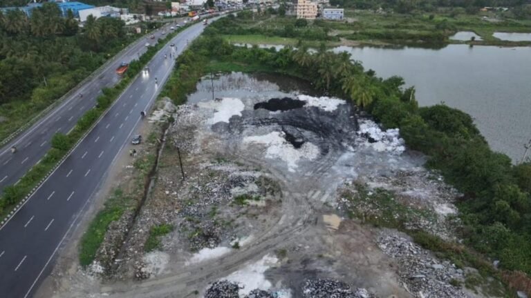 The Shoolagiri Wetland is turning into a toxic dump of industrial waste