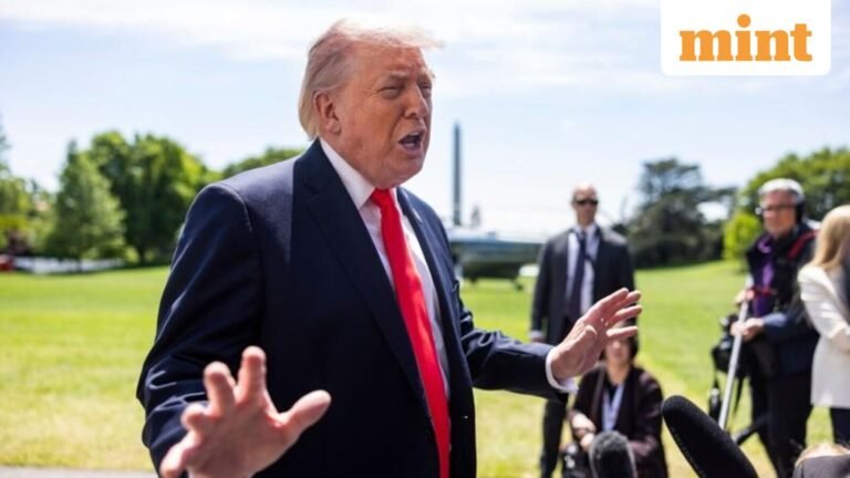 Was Trump planning to suspend habeas corpus? Inside a leaked memo targeting key constitutional protections of individual liberty | Today’s news
