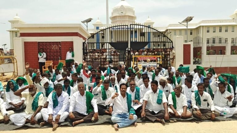 Farmers stage protest in Raichur