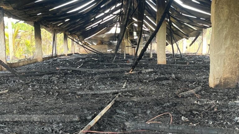 Over 11,000 chickens died in a poultry farm fire near Katpadi