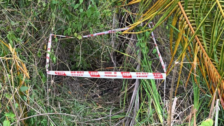 Sulur sexual assault and murder case: witnesses identify prime accused