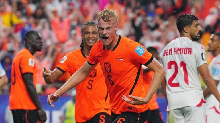 The Netherlands beat Tunisia to top Group F as Japan and Sweden reached elimination