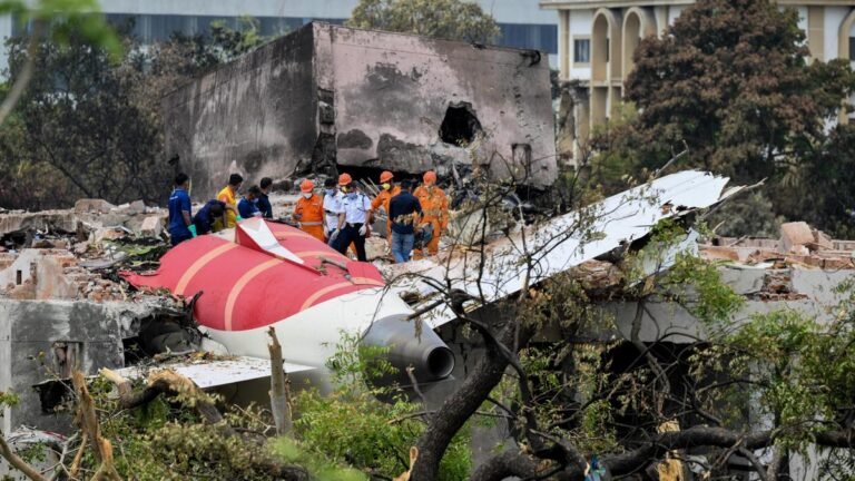 No pressure on families of crash victims to accept compensation: Air India