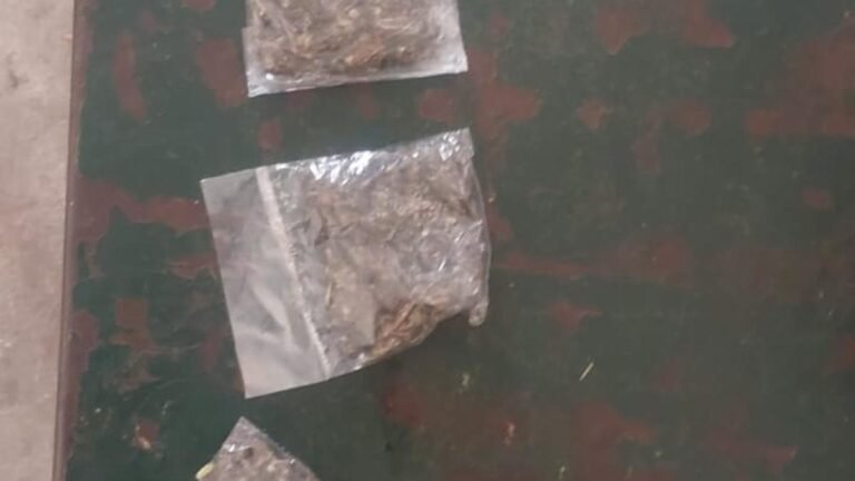 Three persons held for possession of ganja