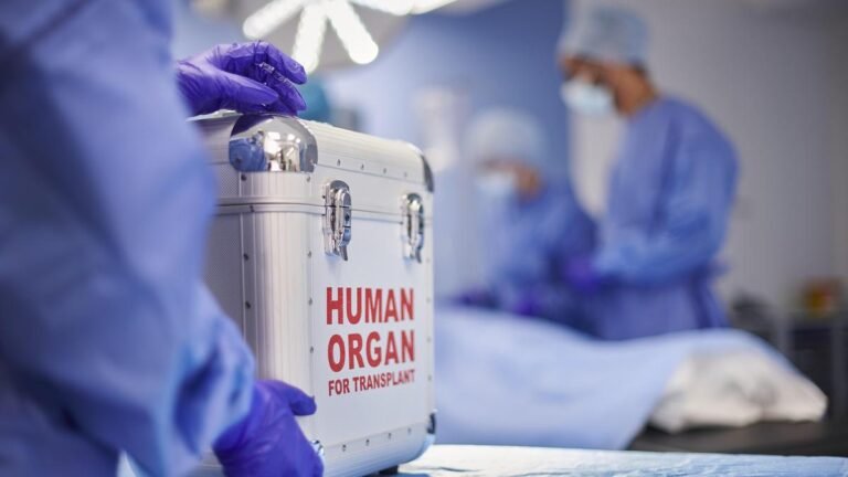 The Madras High Court has allowed a Bangladeshi woman to donate a kidney to her son
