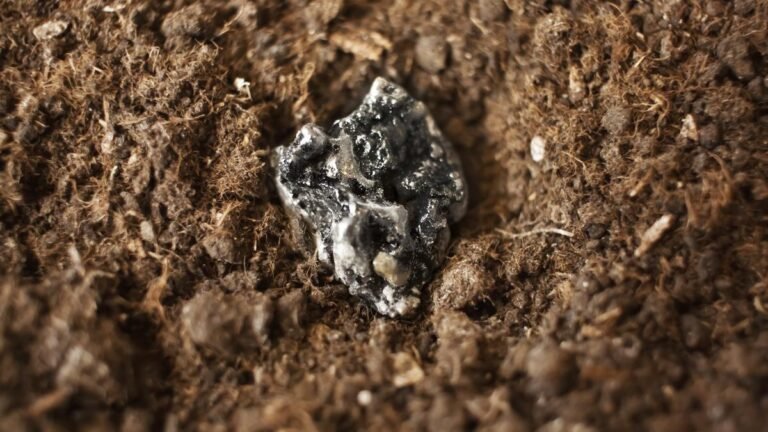 India is seeking samples of rare earths from a Siberian deposit owned by Rosneft, a source says