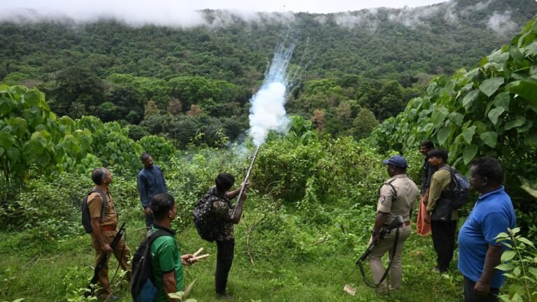 Why the elephant hunters of Chalakudy, Kerala keep vigil to avoid ‘conflict’