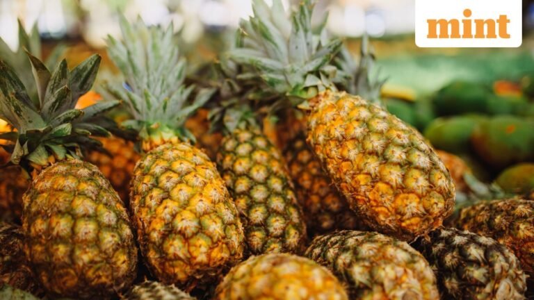 Delhi To Host India’s First Global Pineapple Festival – Dates, Time, Venue, Entry Fees, More Details Here | Today’s news