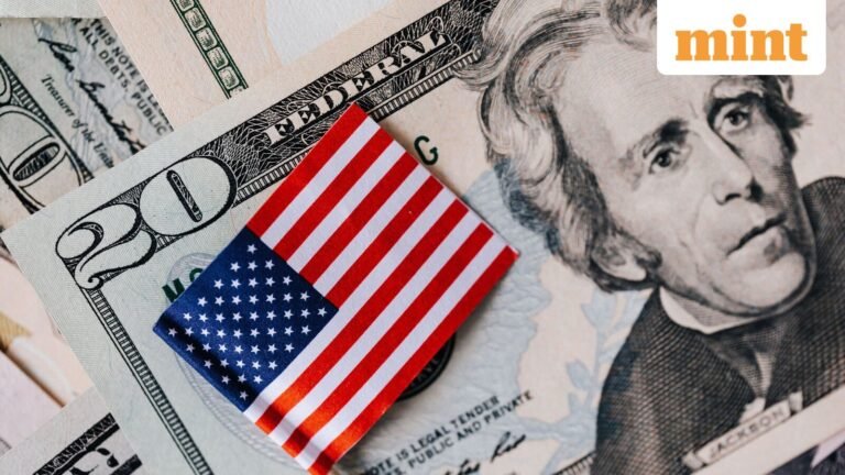 ‘Not enough ties’: Founder of Indian startup employing more than 100 people denied US visa, asks what it means | Today’s news