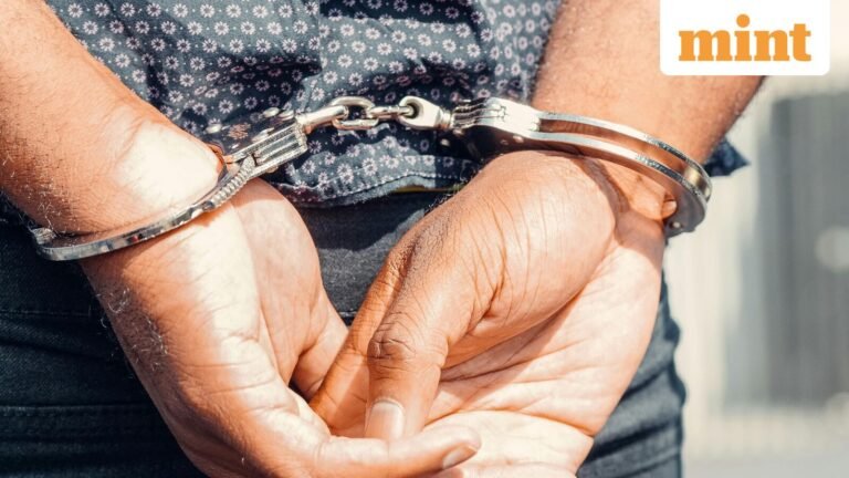 Bengaluru man strangles live-in partner to death – how Instagram friendship turns into murder mystery | Today’s news