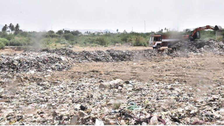 The Vellore Corporation will plant native saplings on the banks of the Palar River to prevent waterlogging
