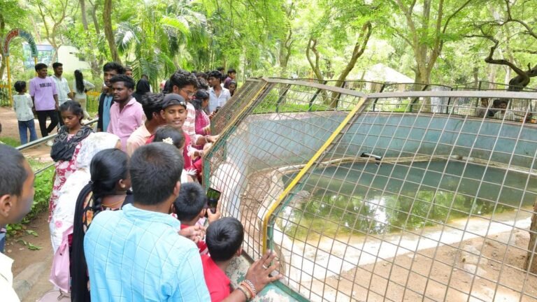 Over 5,000 visitors throng the Amirthi Zoo in Vellore for the CM’s birthday