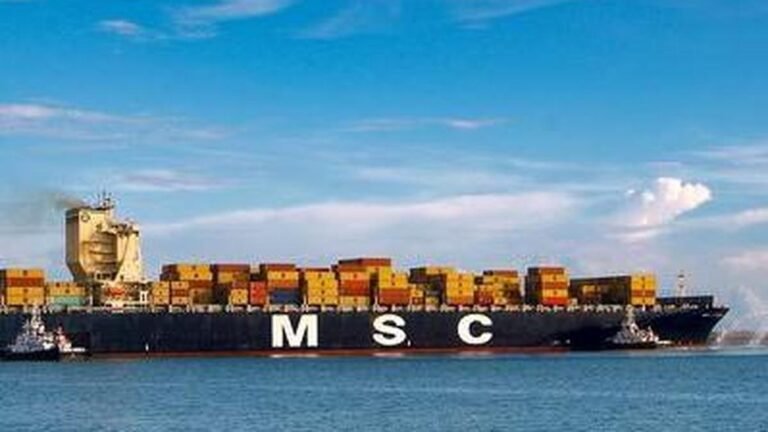 Kerala government, Adani Group trying to resolve differences over stake sale in Vizhinjam port