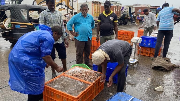 ‘Seafood at Doorsteps’ service to be launched in Karnataka