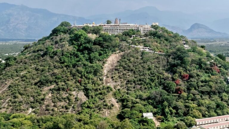 CB-CID starts probing the Palani math land registration
