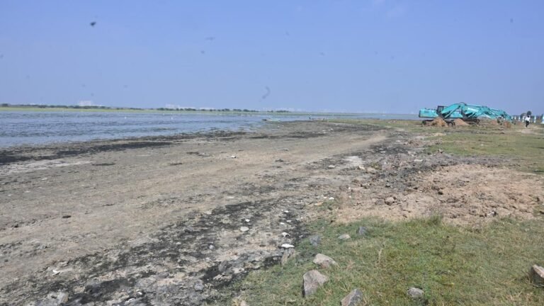 Field survey highlights importance of wetlands amid reservoir debate