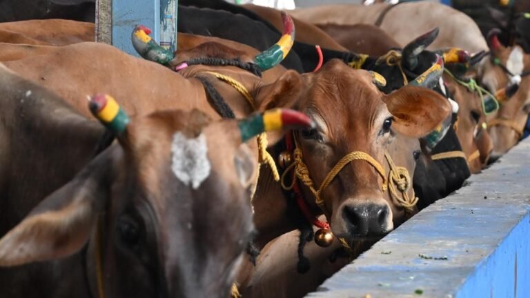Tamil Nadu appeals to SC against Madras HC order banning cow slaughter