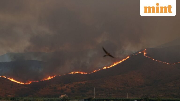 World News Today Live Update 11 July 2026: Spain forest fire kills at least 12, victims burned in cars as roads turn into death traps: ‘Pretty scary’ | Today’s news