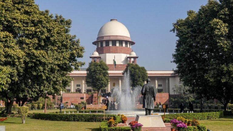 Man throws papers on Supreme Court bench after incoherent submissions