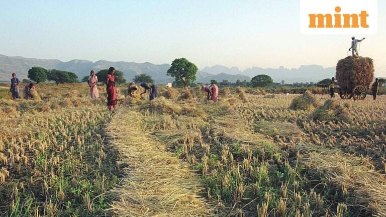 Center releases ₹25,863 crore as new rural jobs scheme rolled out nationwide VB-G-RAM-G | Today’s news