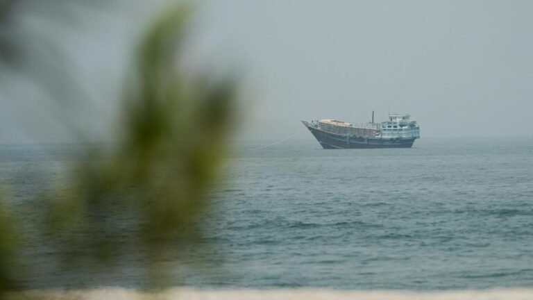 Incentives, warnings and reassurances: how an Indian sailor navigated Hormuz