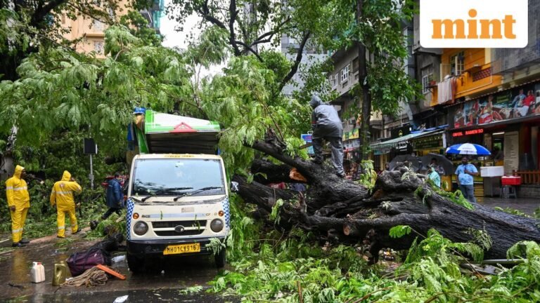 School holidays in Mumbai: Private, government schools, colleges to remain closed on July 6 as IMD issues orange alert | Today’s news